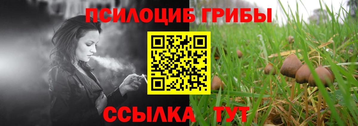 Галлюциногенные грибы прущие грибы  Вход с VPN  Бугуруслан 